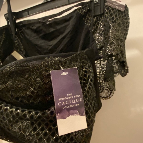 NWT Lane Bryant/Cacique Bra and Panty set 46DD 26/28 - Picture 5 of 14